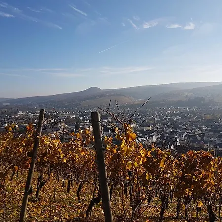 安妮酒店 3* 巴特诺因阿尔-阿尔韦勒