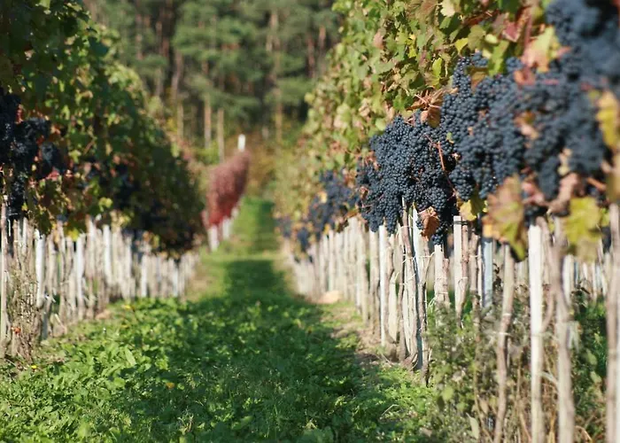 Aennchen Bad Neuenahr-Ahrweiler